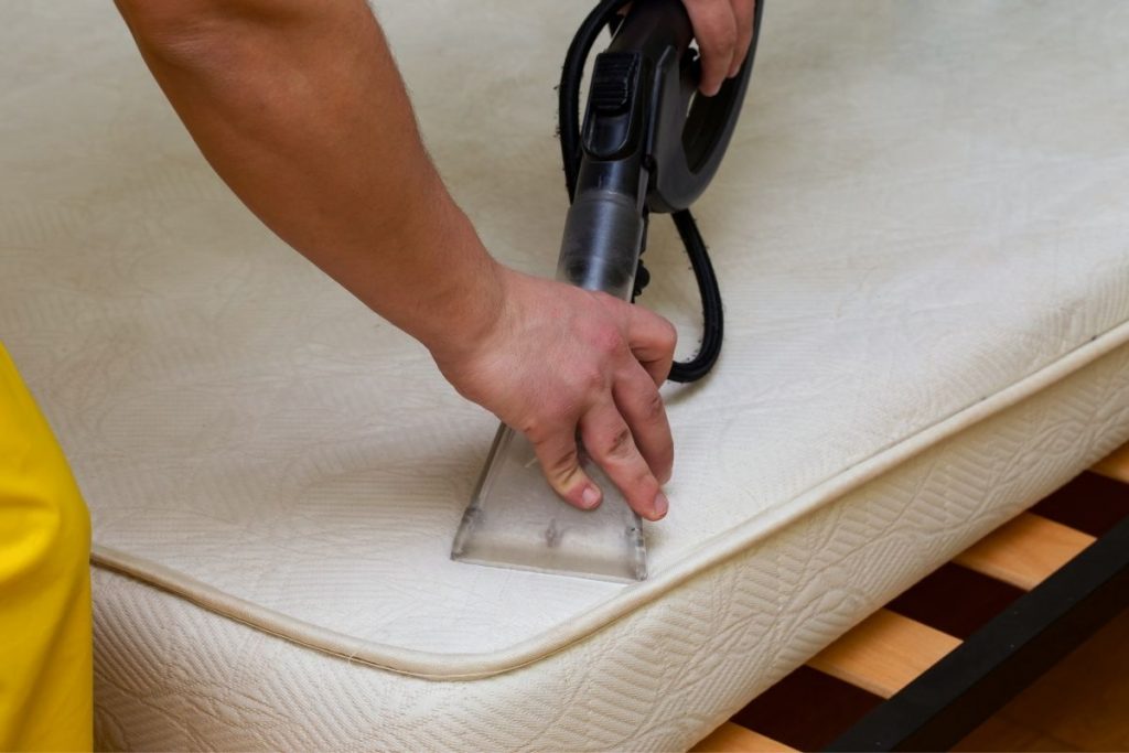 Professional Mattress Cleaning Services